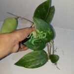 IMG_20240108_192940