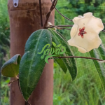 IMG_20250817_193944