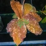 IMG_20250924_225801