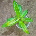 2025/10/1000169567.png